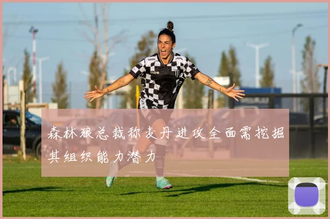 森林狼总裁称麦丹进攻全面需挖掘其组织能力潜力