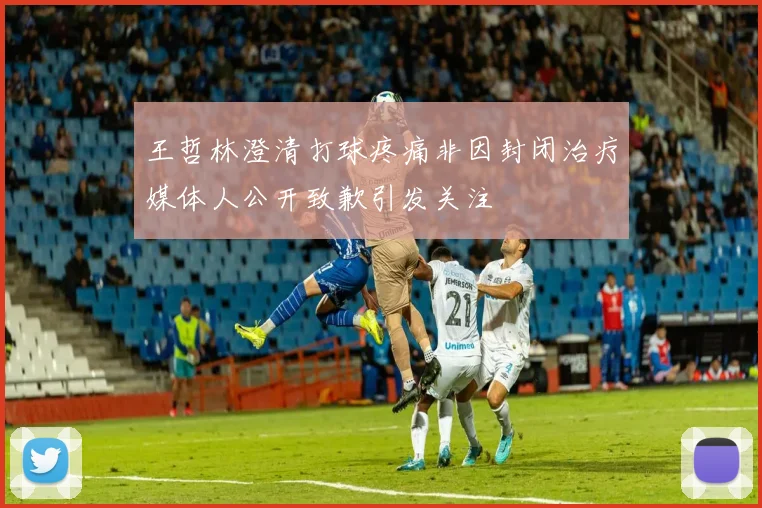 王哲林澄清打球疼痛非因封闭治疗媒体人公开致歉引发关注